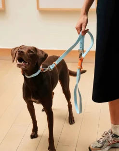 Adjustable dog leash