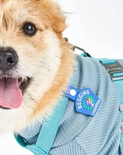 Begging Champion medal