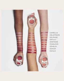 Cheek and lip balm refill