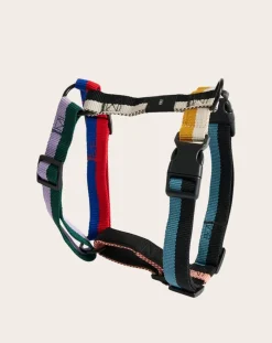 Harnesses