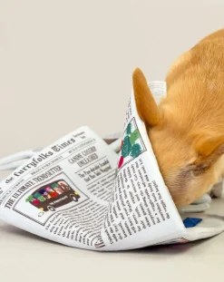 Newspapper digging toy