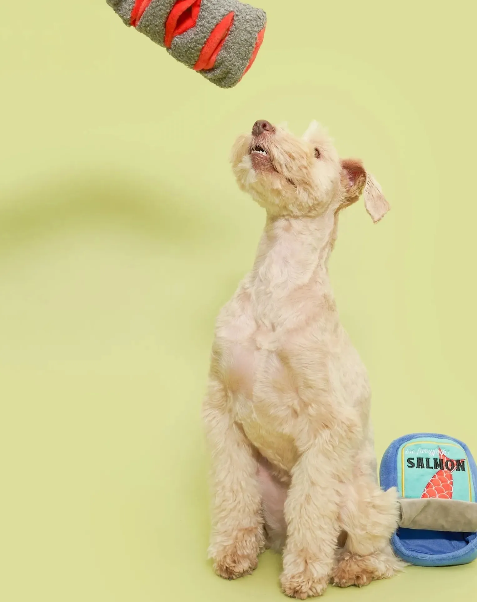 Tinned Salmon digging toy