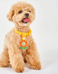 World's Okayest Dog Medal