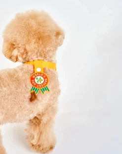 World's Okayest Dog Medal